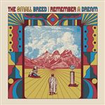 Remember a dream - Vinilo