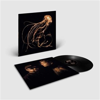 Back To The Water Below - Vinilo