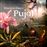 Pujol: Cuatro Argentinas - CD