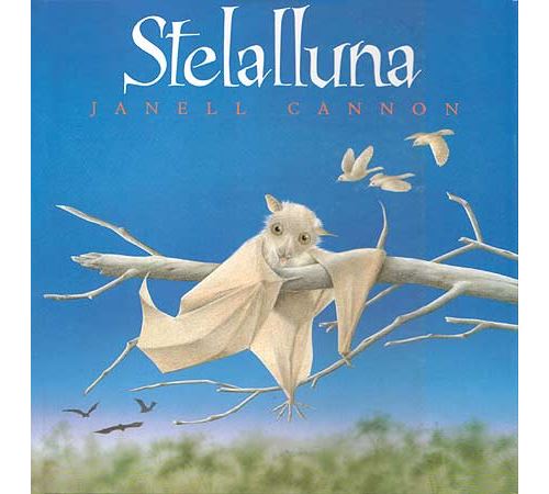 Editorial Juventud, S.a. Stelalluna -Catala