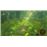 The Legend of Zelda: Breath of The Wild Nintendo Switch 2