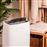 Deshumidificador Cecotec BigDry 10000 Expert Connected