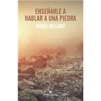 Enseñarle a hablar a una piedra