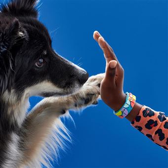 PULSERA MIS MASCOTAS LEGO DOTS