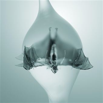 Angel - CD