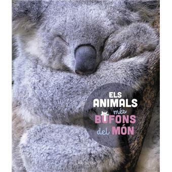 Els animals més bufons del món