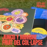 Fruit del Col·lapse - Vinilo