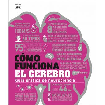 Cómo funciona el cerebro