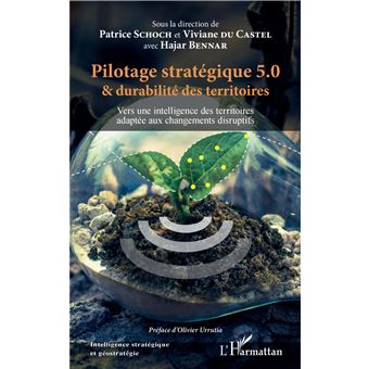 Pilotage stratégique 5.0 et durabilité des territoires - 1