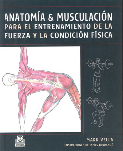 Anatomía Musculación Para el Entrenamiento de La Fuerza y La