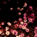 Babydoll - Vinilo Blanco