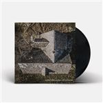 The Rise & The Fall - Vinilo