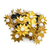 Guirnalda de luces de estrellas Nature et decouvertes