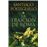 La traición de Roma (Trilogía Africanus 3)