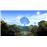 Ori and the Blind Forest Definitive Edition Nintendo Switch_4
