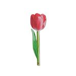 Marcapáginas Flores Catwalk Tulipán Rosa