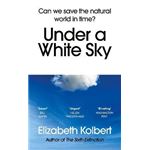 Under a white sky