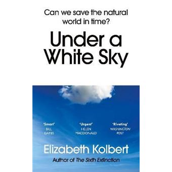 Under a white sky