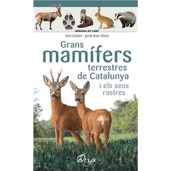 Grans mamifers terrestres de catalu