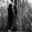Lp-today i wrote nothing(10 ani(2lp