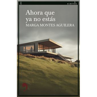 Ahora que ya no estás