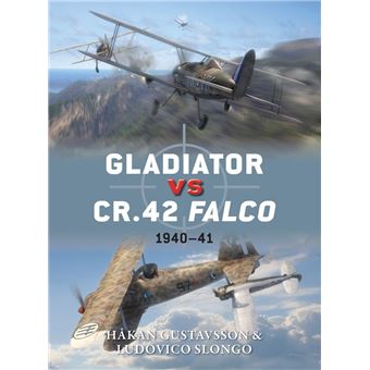 Gladiator vs CR.42 Falco - 1