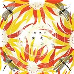 Come With Fierce Grace - CD