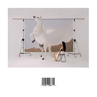Sanación - Vinilo