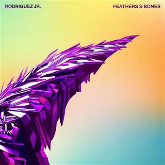 Feathers & Bones -- 2 Vinilos