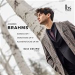 Brahms-Sonata 1 Variations Op 9