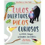 Culos Divertidos Picos Curiosos