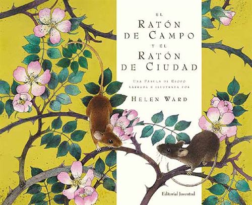 Juventud El Ratón De Campo Y El Ratón De Ciudad