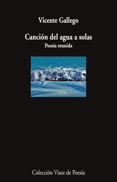 Visor Libros, S.l. Cancion Del Agua A Solas - Vicente Gallego (Autor)