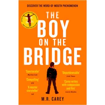 The boy on the bridge
