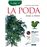 La Poda Paso A Paso