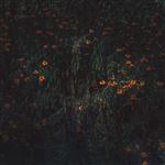 Estarantos - Vinilo