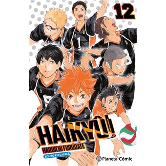Haikyu 12-Cat-