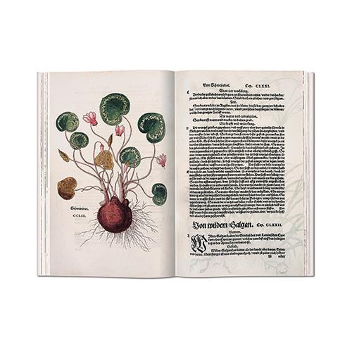 Leonhart Fuchs. The New Herbal of 1543 (Edición inglesa