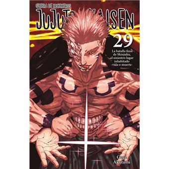 Jujutsu Kaisen 29