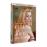Belle de jour - DVD_0