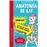 Anatomía de Kay