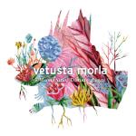 Mismo sitio, distinto lugar (Vinilo)