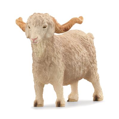 Cabra de angora