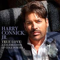 True Love - A Celebration of Cole Porter - 2 vinilos