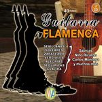 Guitarra flamenca (2cd)