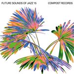 Future Sounds of Jazz Vol.15 - 2 CDs