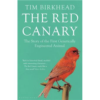 The Red Canary - 1