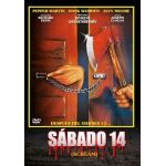 Sábado 14 (Scream) - DVD
