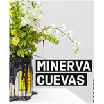 Minerva Cuevas