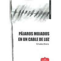 Pajaros mojados en un cable de luz